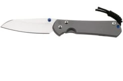 Chris Reeve Sebenza 31 Large Plain Glass Blasted Insingo L31-1685 Navaja