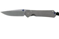 Chris Reeve Small Sebenza 31 Plain Drop Point