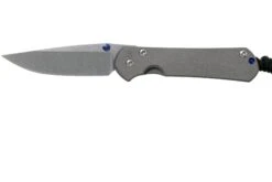 Chris Reeve Small Sebenza 31 Plain Drop Point