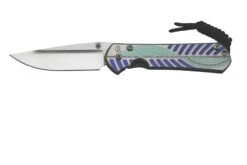 Chris Reeve Small Sebenza 31 Unique Graphic Drop Point 2023 S31-1400-23-C Navaja